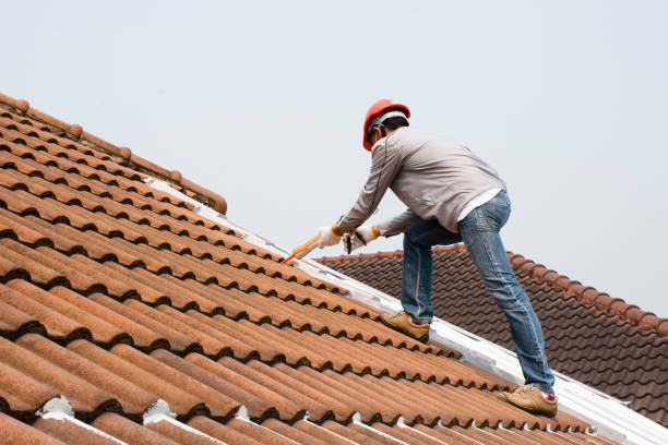 Best Roof Insulation Installation  in Stansbury Park, UT