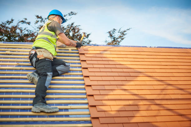 Best Roof Maintenance and Cleaning  in Stansbury Park, UT